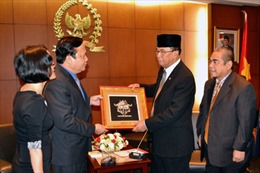 Phó Chủ tịch Quốc hội Huỳnh Ngọc Sơn thăm Indonesia